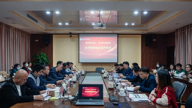 媒介投放案例常见问题解析