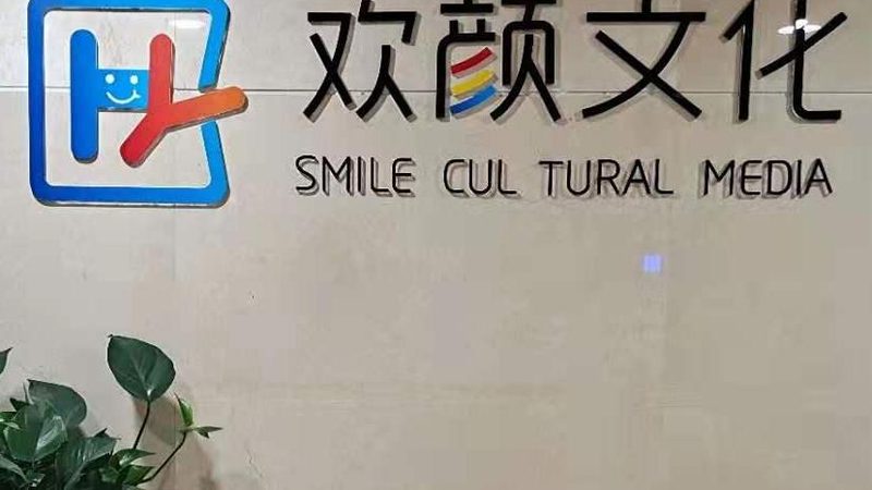 小型传媒公司注册网上办理：步骤解析与注意事项
