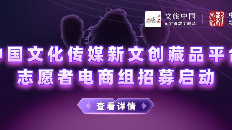 冷冻食品直播代运营：揭秘其背后的运营之道
